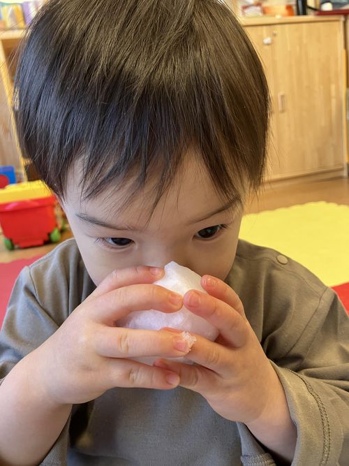 雪の観察、じーっ