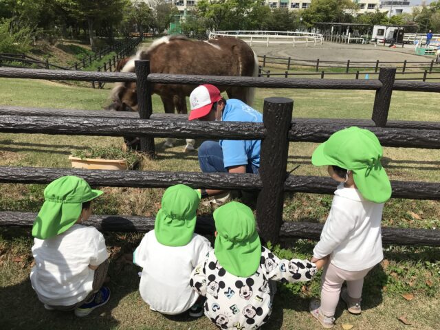 ポニーランドにおさんぽ