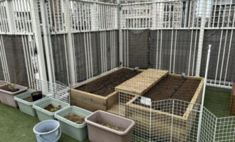 屋上ビオトープで原体験