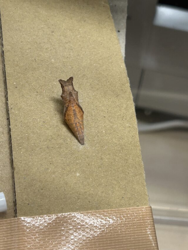 【1日目】冬を越えて。