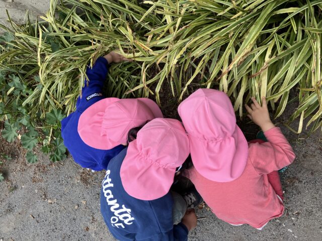 あ！いたぞ～！！