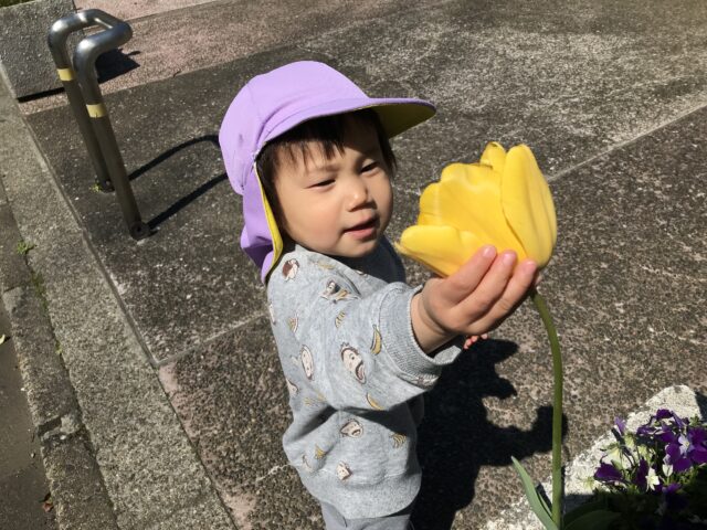 春いっぱい、みーつけた🌸