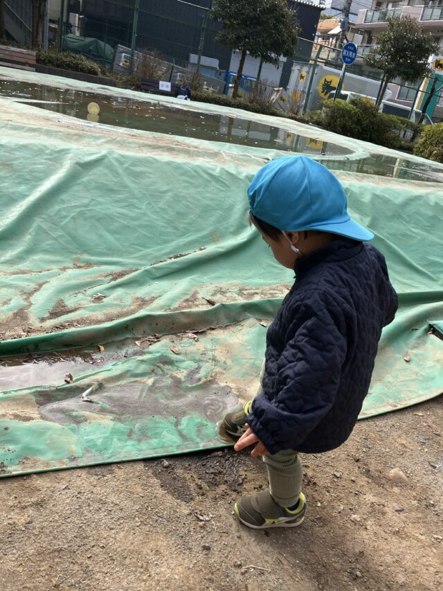 公園の水たまりを見つけて……