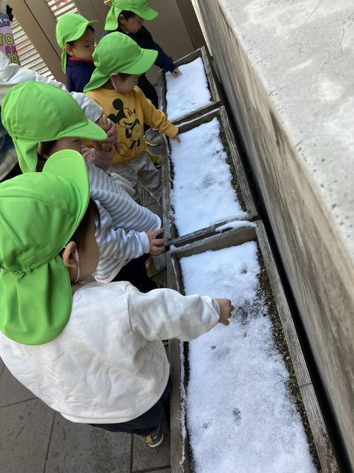 雪が積もった後のお散歩