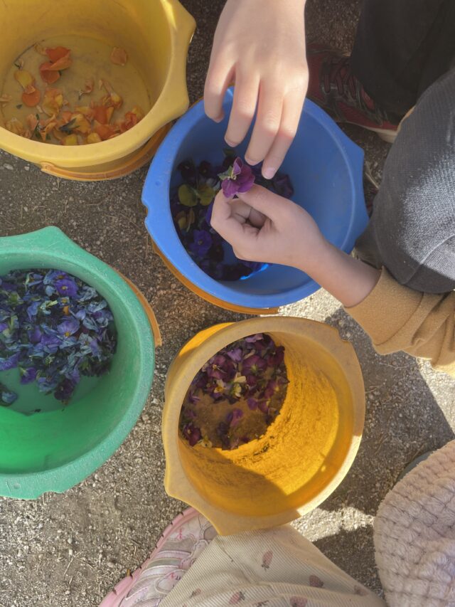 片づけ隊♪５歳児♪