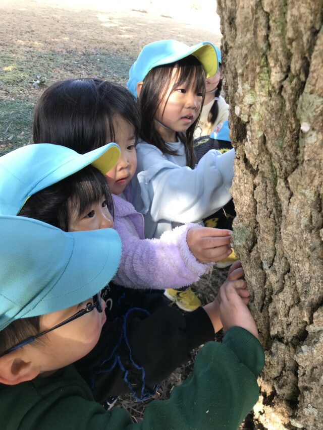 木って不思議・・・３歳児♪