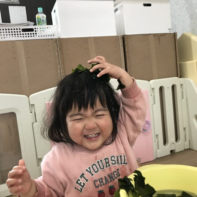 乾燥わかめって、どんな匂い…？どんな感触…？０歳児♪
