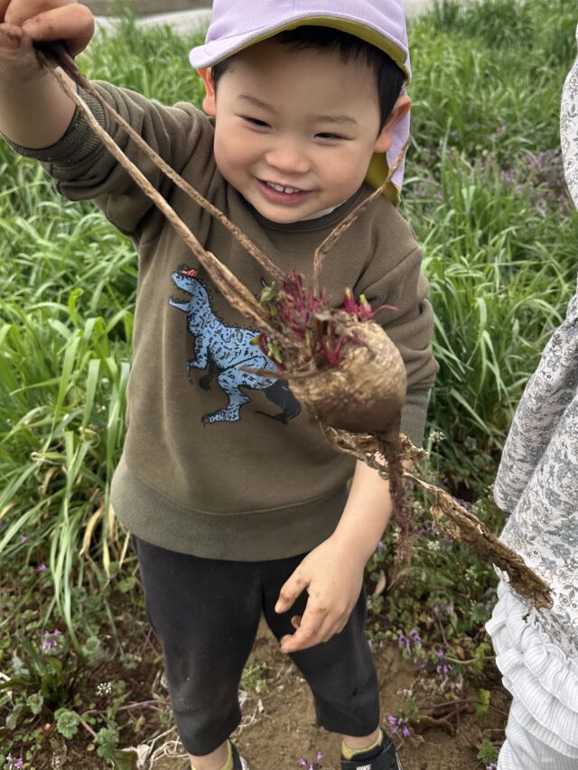 かもめファームで畑の体験したよ♪2歳児♪
